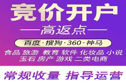 网络推广竞价策略解析与应用案例
